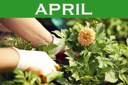 April