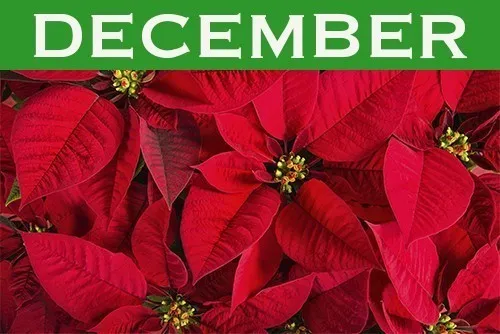 December