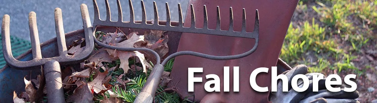Fall Chores