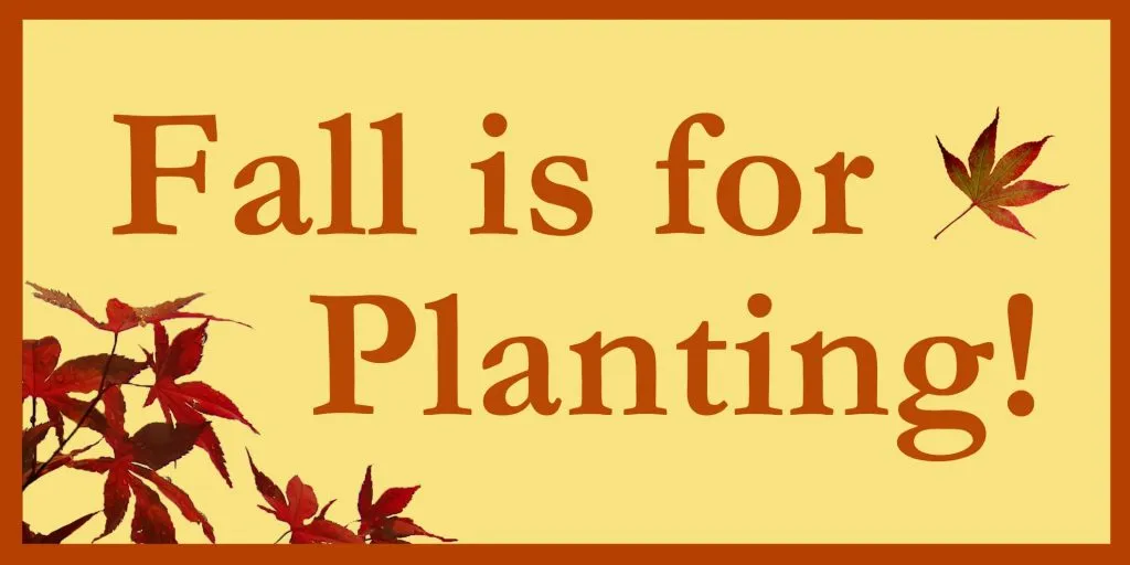 Fall is for Planting