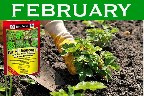 February