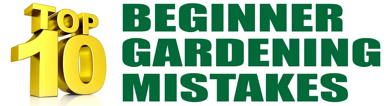 Here are the top 10 most common mistakes we see from beginner gardeners: