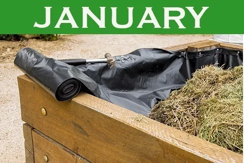January
