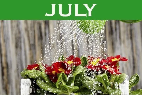 July