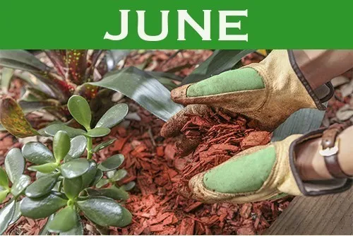 June