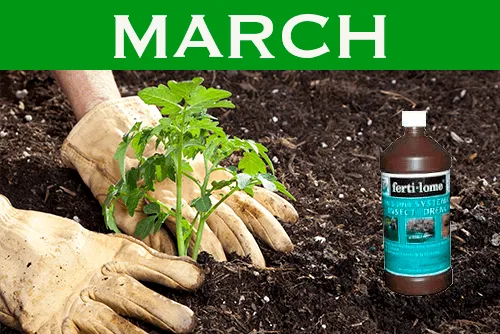 March