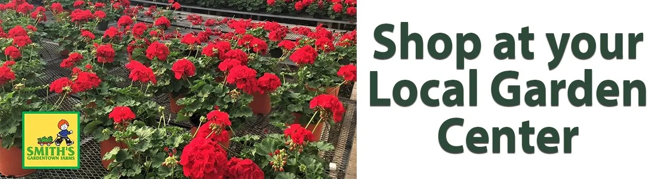MORE GOOD REASONS TO SHOP LOCAL. Please read this Blog!