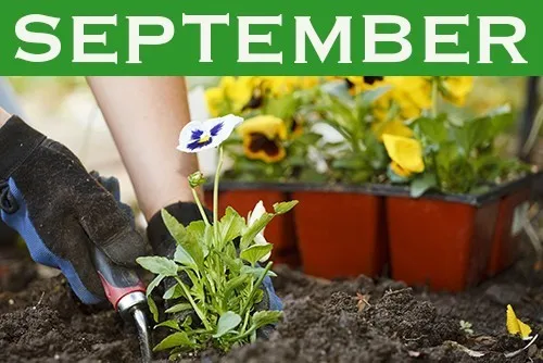 September