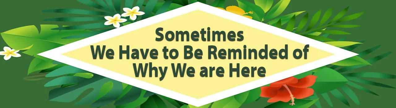 Sometimes We Have to Be Reminded of Why We are Here