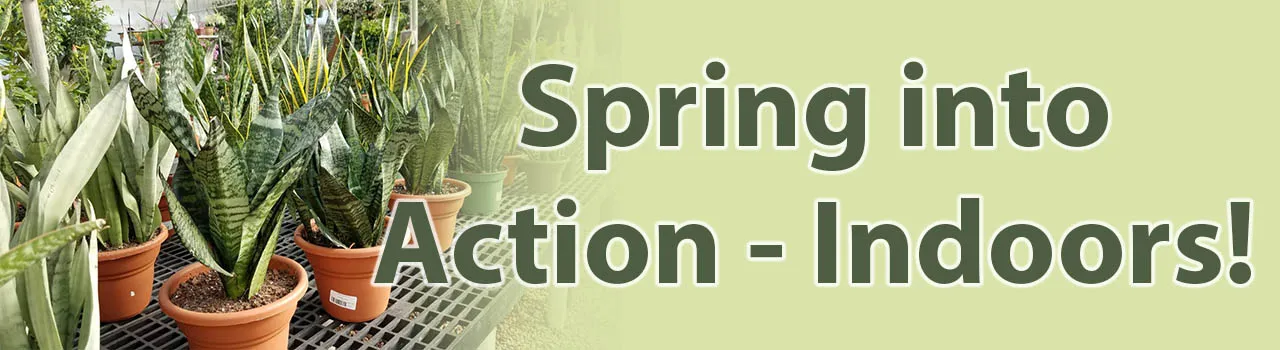 Spring into Action -- Indoors!