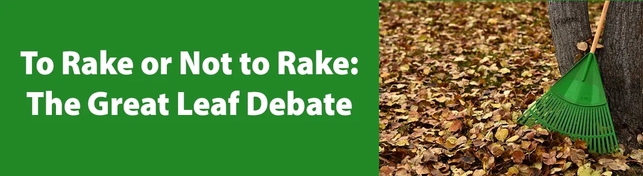 To Rake or Not to Rake: The Great Leaf Debate
