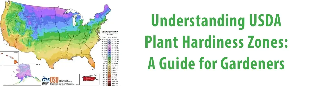 Understanding USDA Plant Hardiness Zones: A Guide for Gardeners